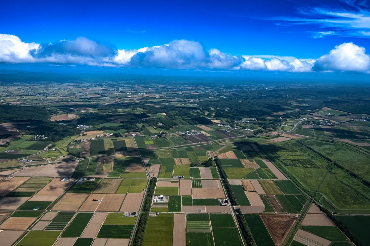 XC15-45mmF3.5-5.6 OIS PZで撮影された写真 | 写真検索 | GANREF
