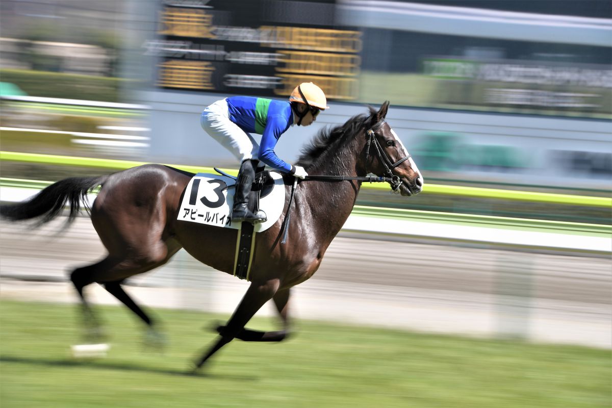 競馬 流し