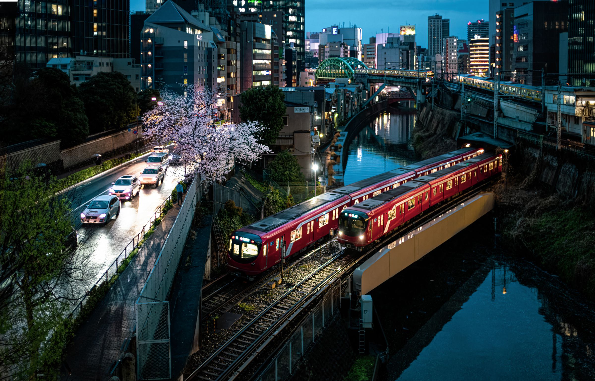 聖橋から見た御茶ノ水あたり 水彩画 　サイズF10 聖橋の一本桜 | GANREF