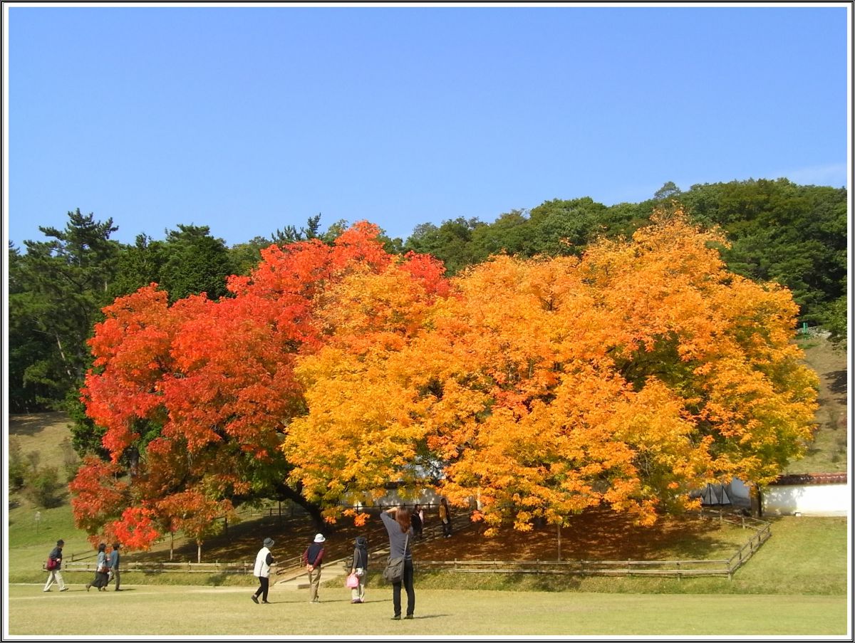 Caplio R7で撮影された写真 | 写真検索 | GANREF Caplio R7で撮影された写真 | 写真検索 | GANREF