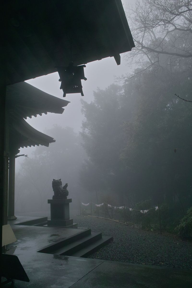 霧雨降る日に 自然 風景 森林 Ganref