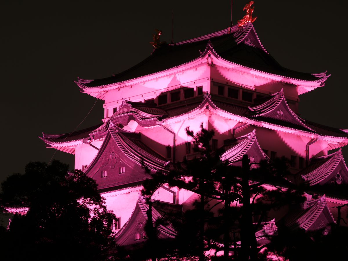 名古屋城ピンクライトアップ 街並み 建物 城 宮殿 Ganref
