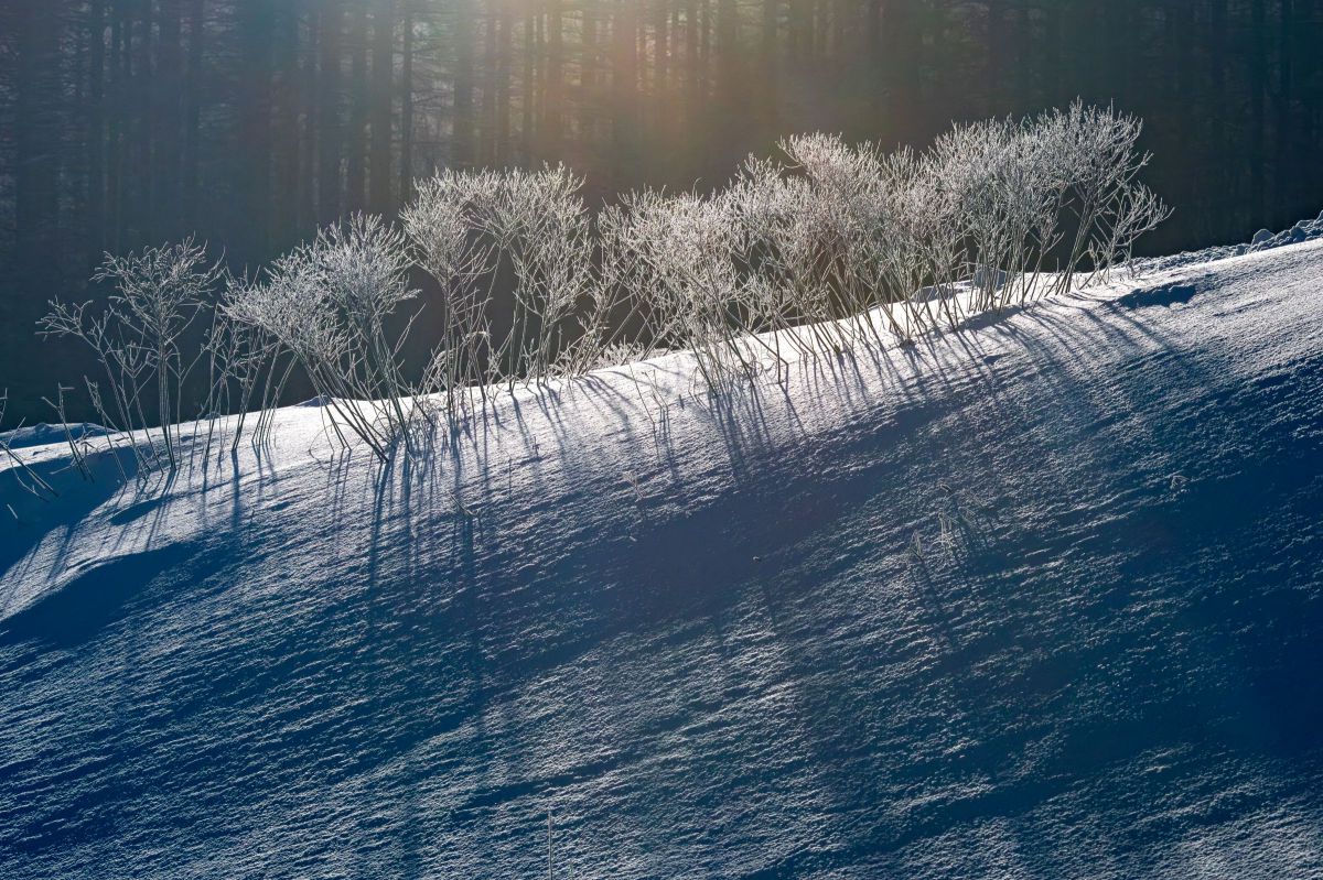 EF135mm F2L USMで撮影された写真 | 写真検索 | GANREF