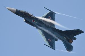 875a1ef002cac9b2f3884efe739d10