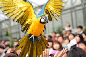 89684c64ad061e1bde62638b73f555