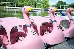 東山動植物園のスワン型ボート | GANREF