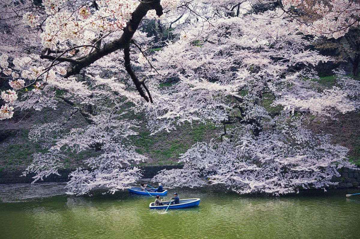 シグマ SIGMA Art 30mm F2.8 DN マイクロフォーサーズ 作例 SIGMA 30mm F2.8 DN | Artで撮影された写真 | 写真検索 | GANREF