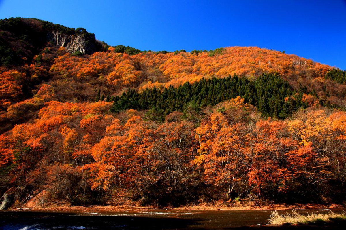 秋の山 自然 風景 山 Ganref