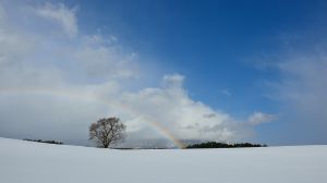 虹雪 53729f1f46ed15dd1d7e14a28cb91e