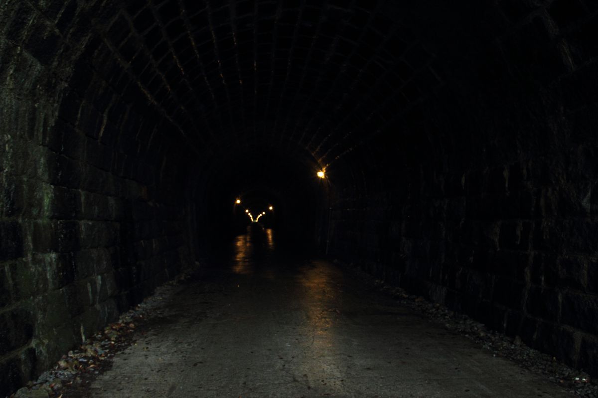 旧天城トンネル内部 乗り物 交通 橋 トンネル Ganref