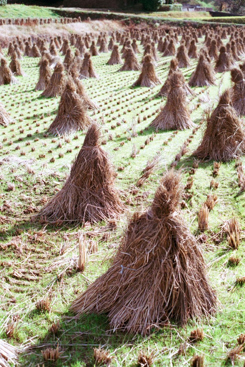 岡山の積み藁 日本 中国地方 Ganref