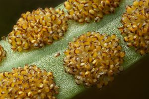 82adf91822889ee427ba1440fc2cc3