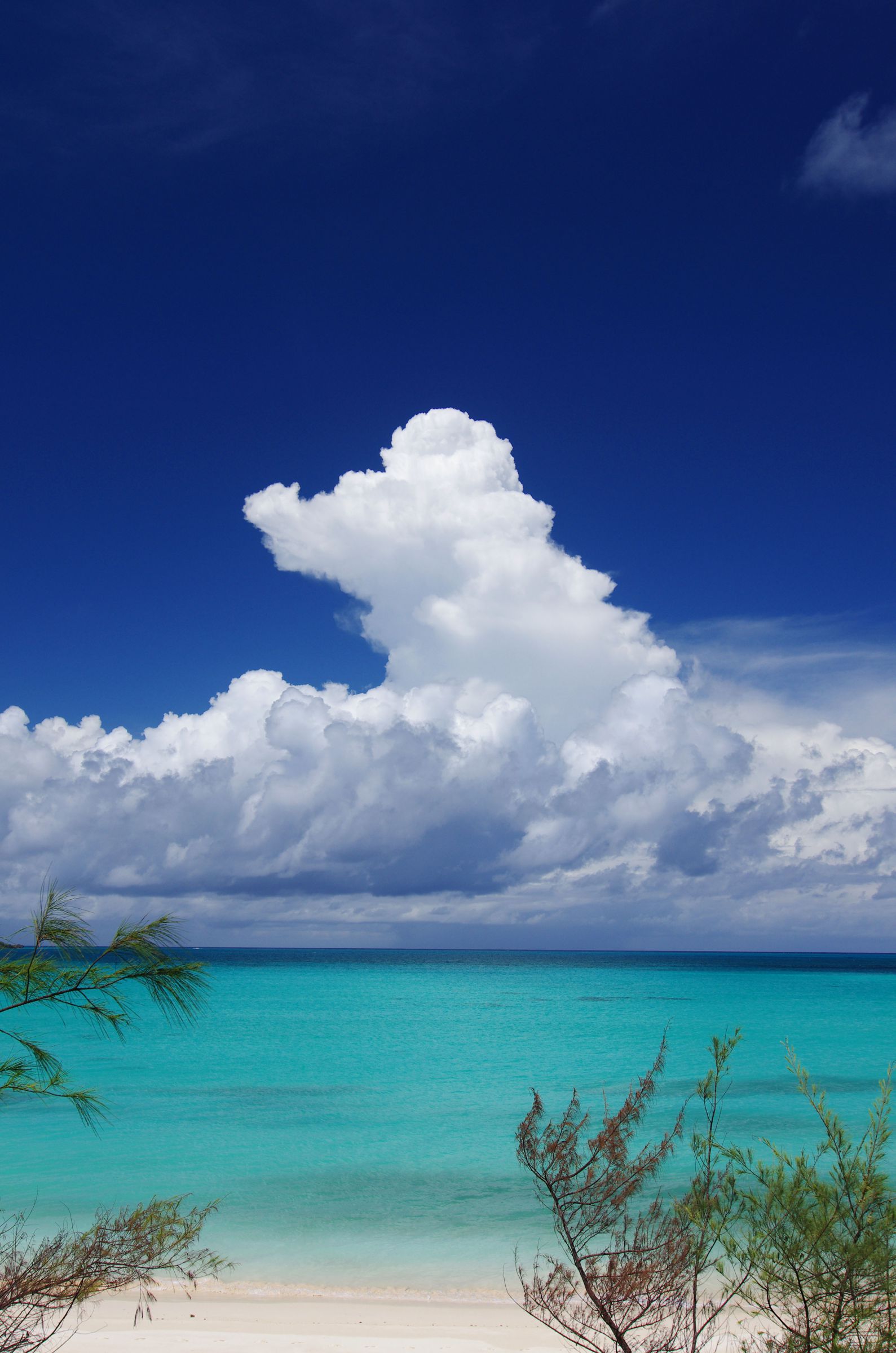 夏の雲 空模様で景色がすぐに変わる天神崎 📷Nikon Z8 & Z14-24mm F2.8