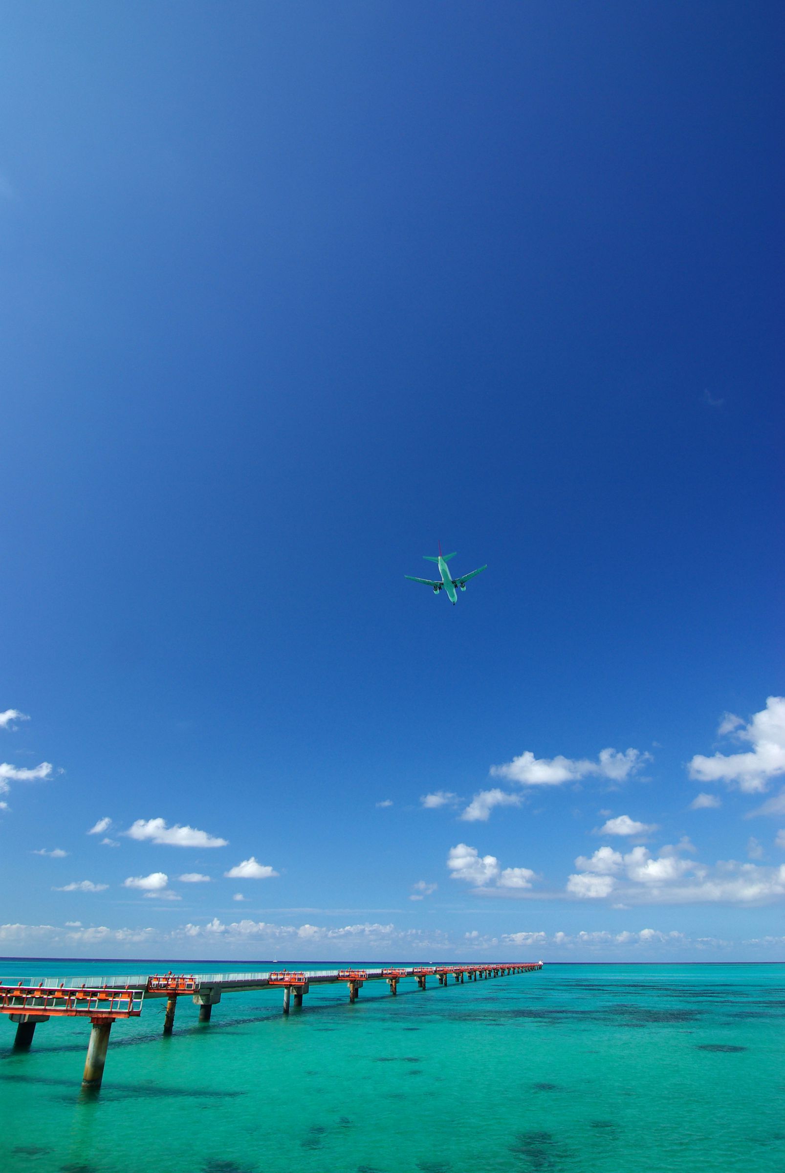 エメラルド グリーン の 海