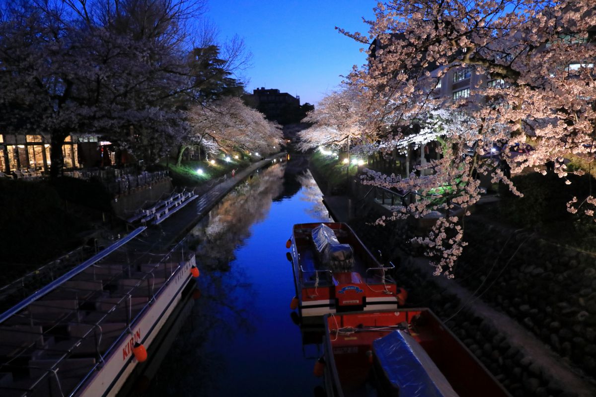 松川べり もうすぐ本番 街並み 建物 夜景 Ganref