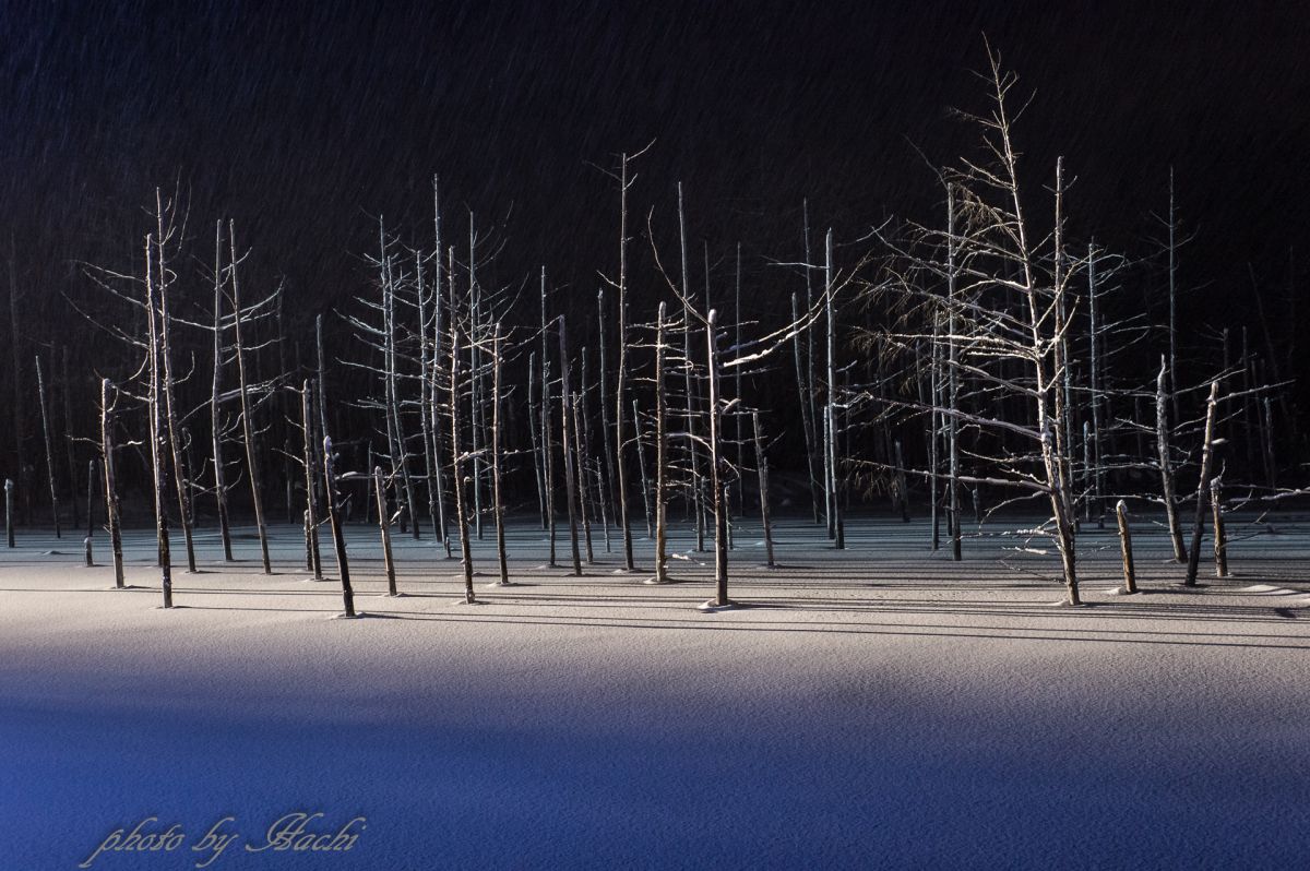 青い池の冬 自然 風景 湖沼 Ganref
