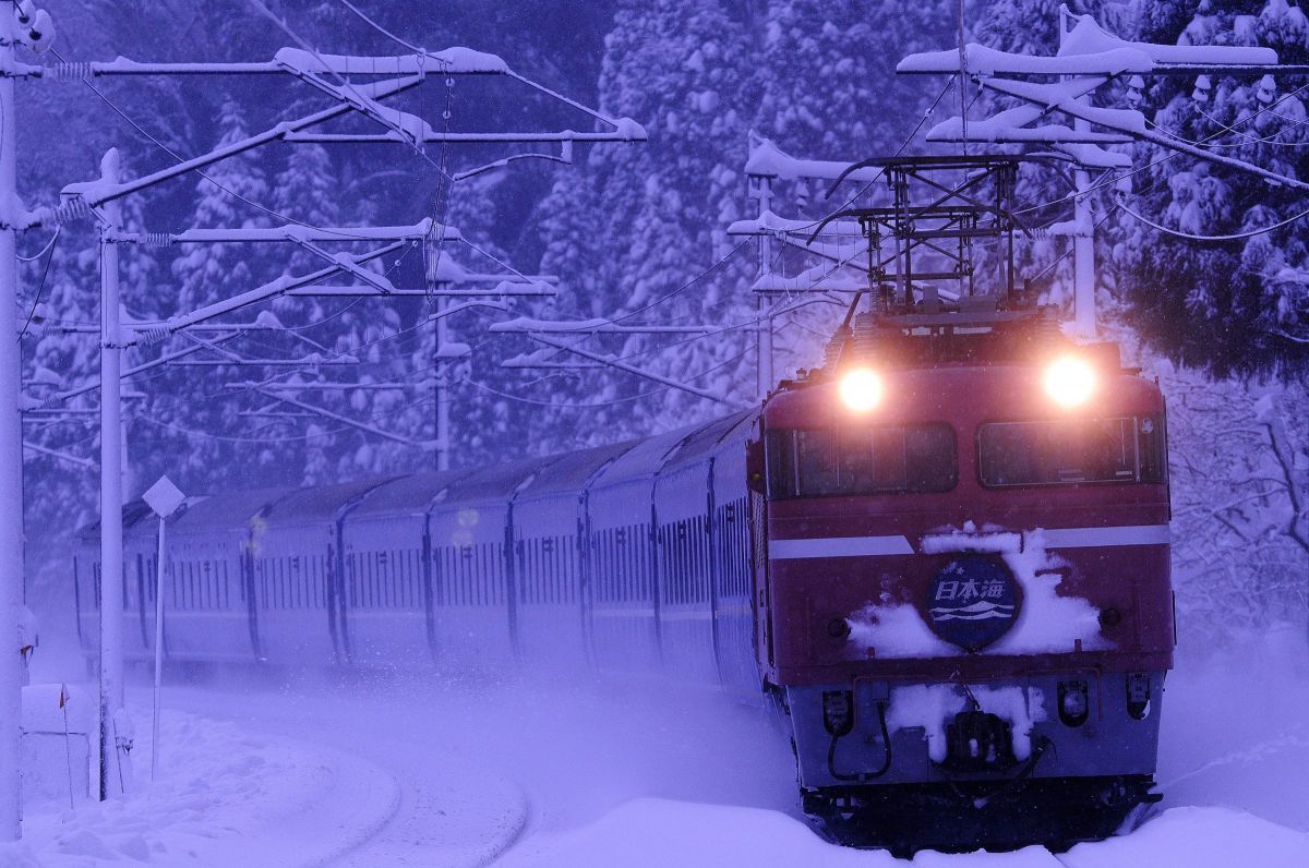 Ai AF-S Nikkor ED 300mm F2.8D II（IF）で撮影された写真 | 写真検索