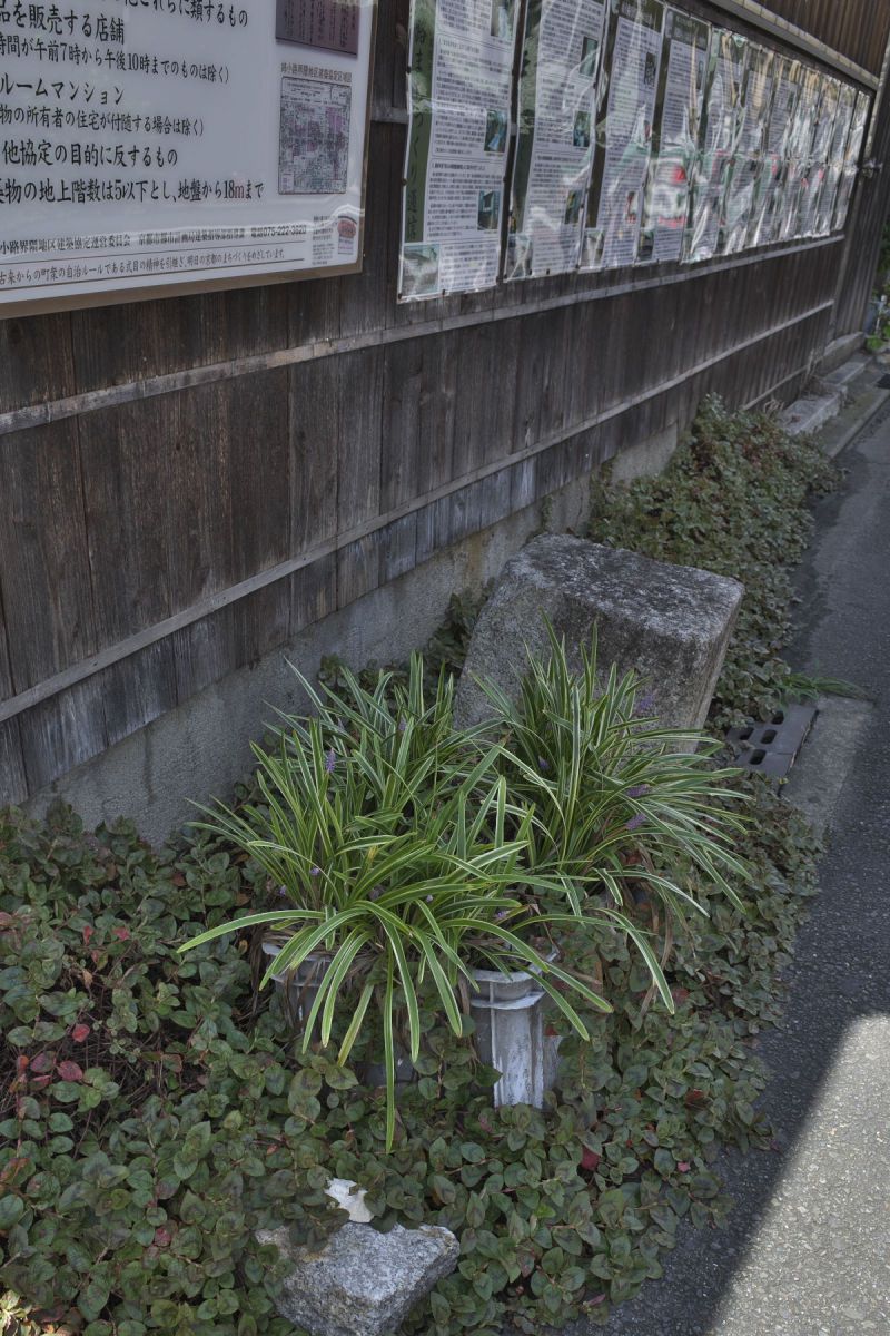 姉小路の街角 GANREF