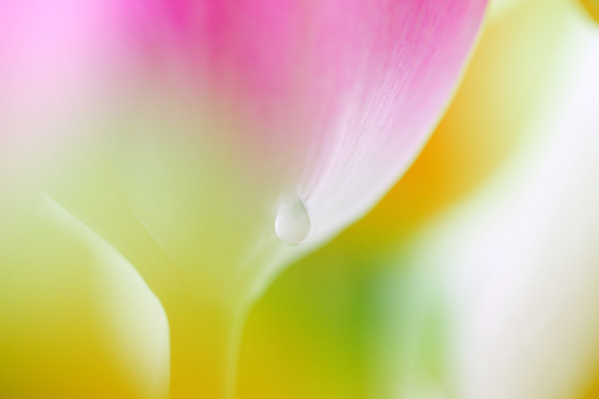 作例あり CanonEOS40D EOS 40Dで撮影された写真 | 写真検索 | GANREF