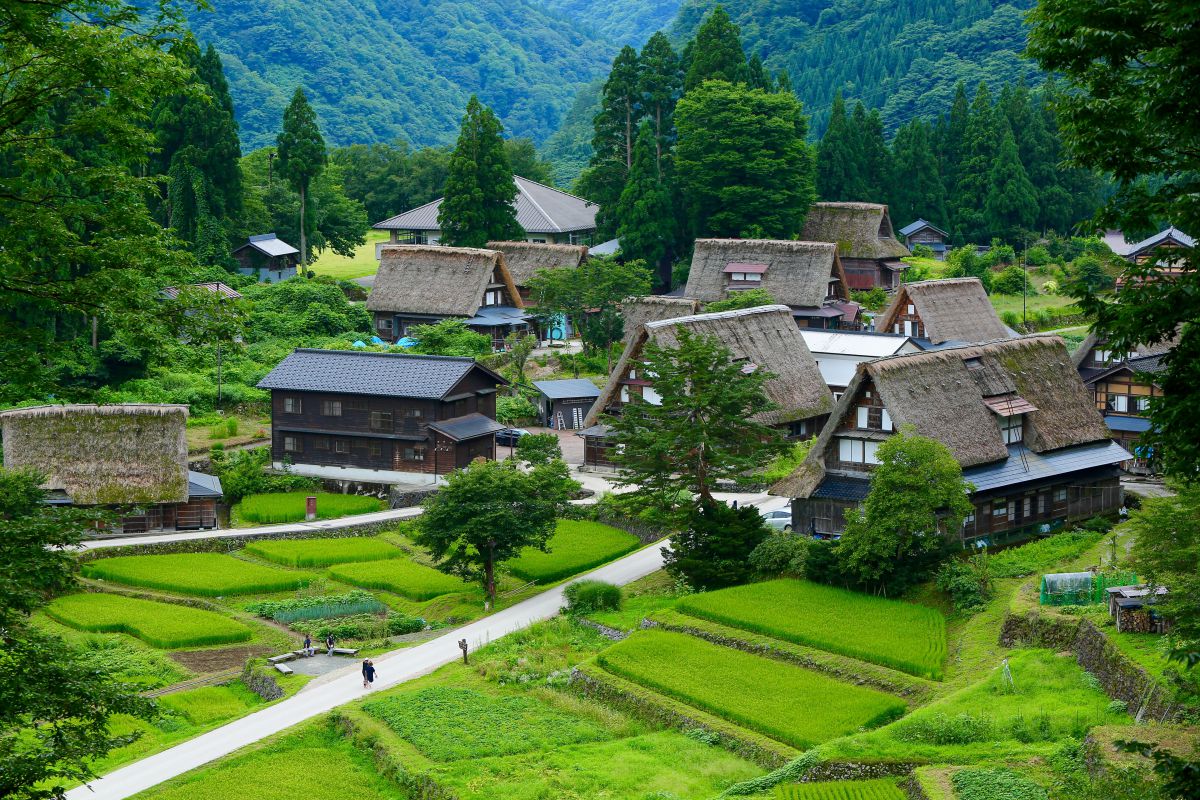 夏 五箇山 相倉合掌集落 自然 風景 世界自然遺産 Ganref