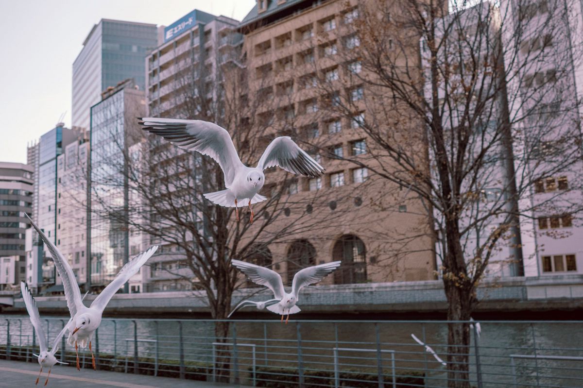 GR DIGITAL IIIで撮影された写真 | 写真検索 | GANREF