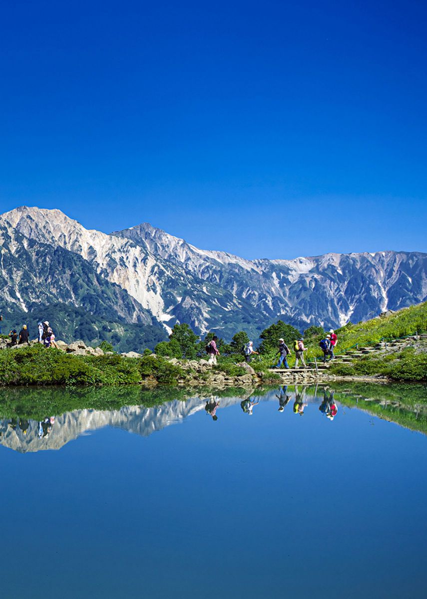 THE 夏山 | GANREF
