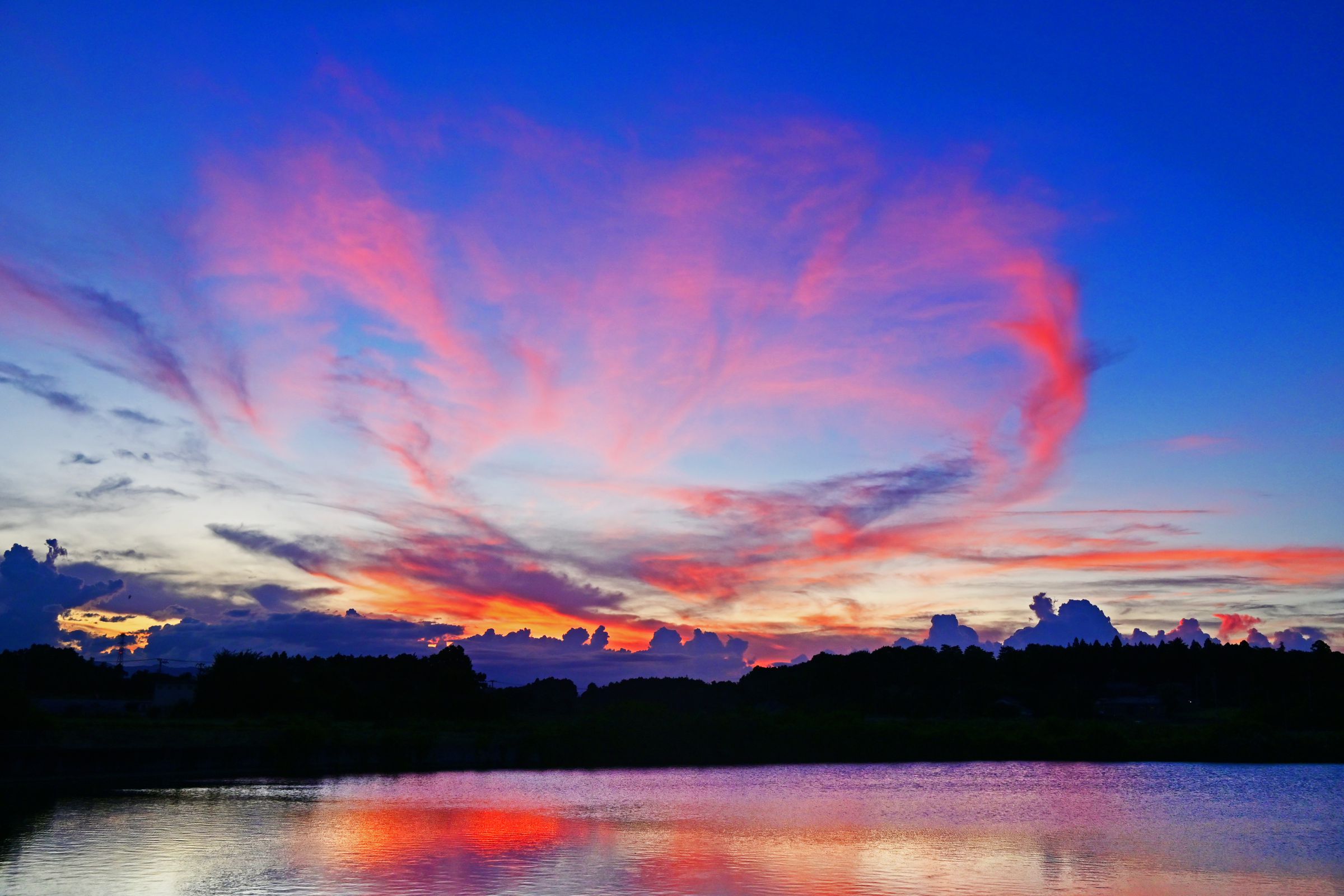 夕映えハート | GANREF