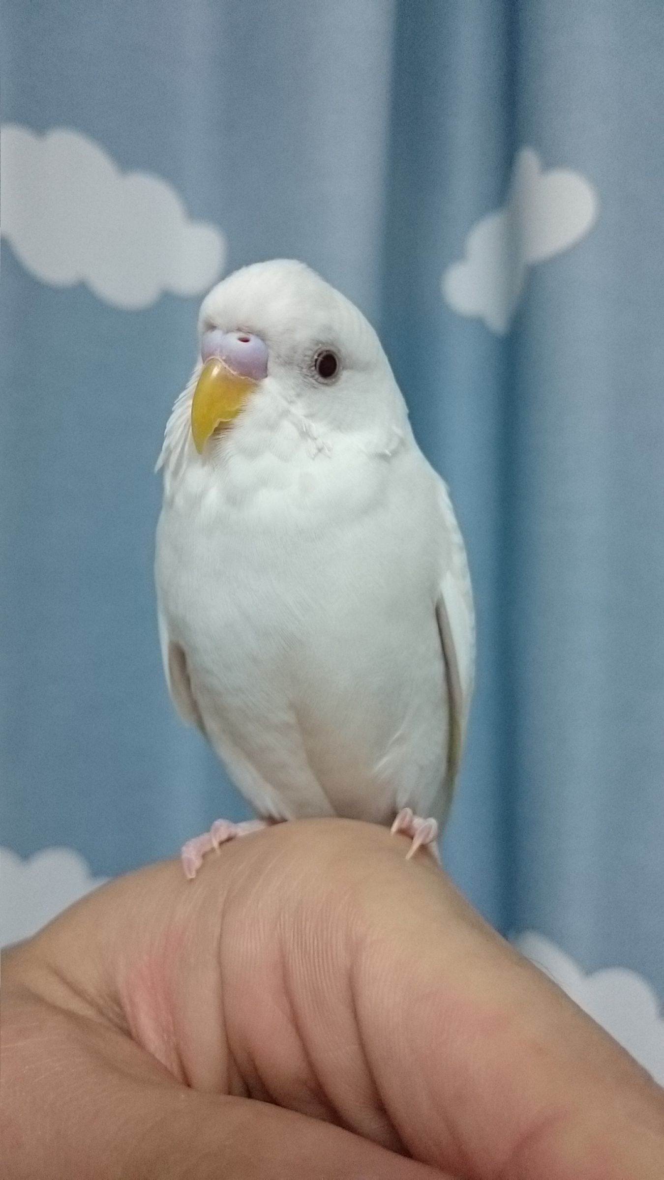 律だよぉ♪