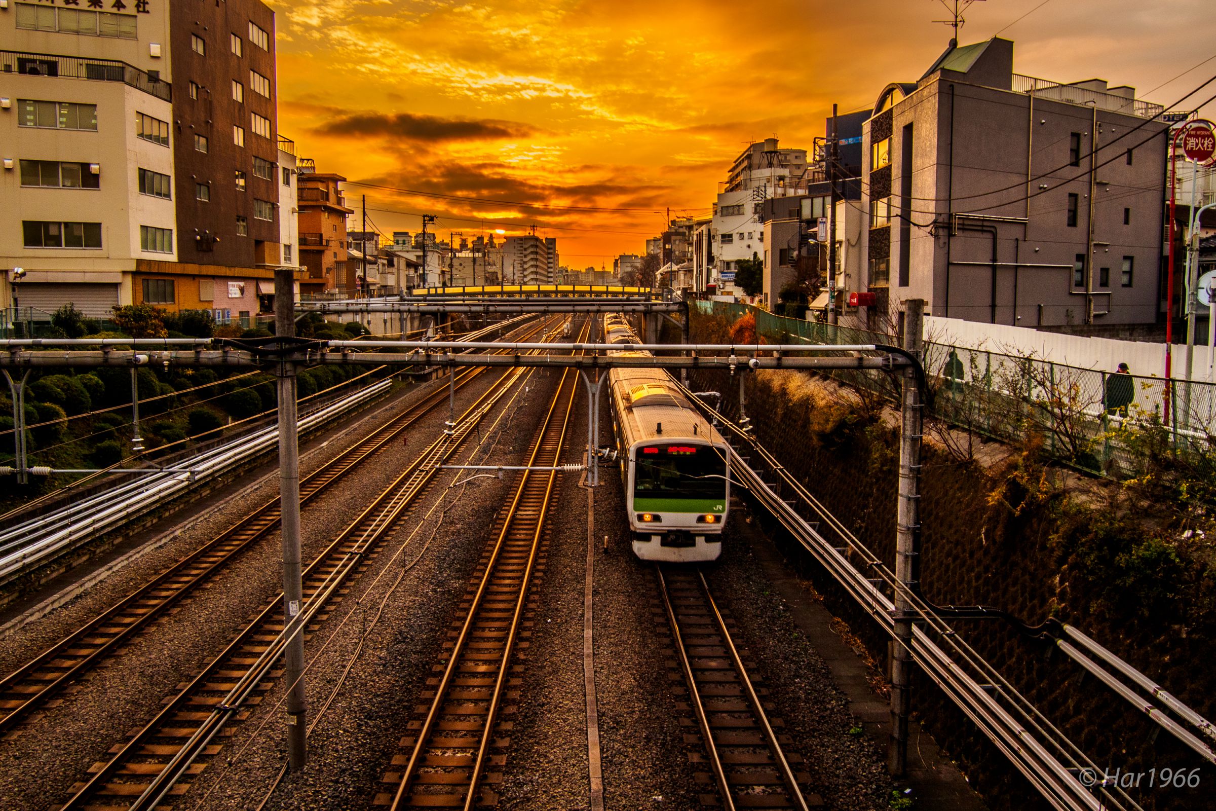 夕焼け山手線 | GANREF