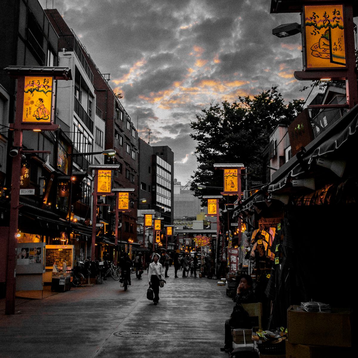 SIGMA 19mm f2.8EXDN E作例有り SIGMA 19mm F2.8 EX DNで撮影された写真 | 写真検索 | GANREF