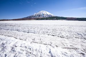 蝦夷富士　倶知安より真作 蝦夷富士 倶知安より真作 2025.05.29 北海道倶知安町 羊蹄姿見池