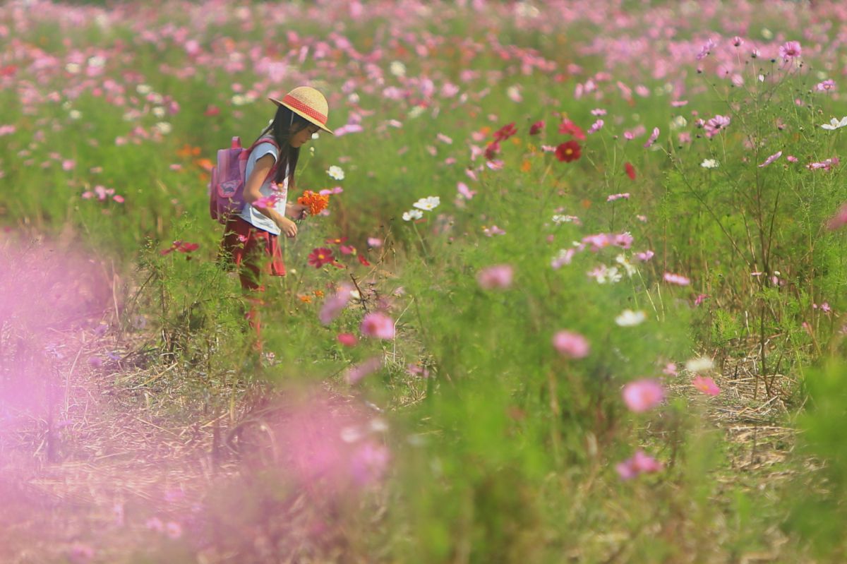 花摘む少女 人物 子供 Ganref