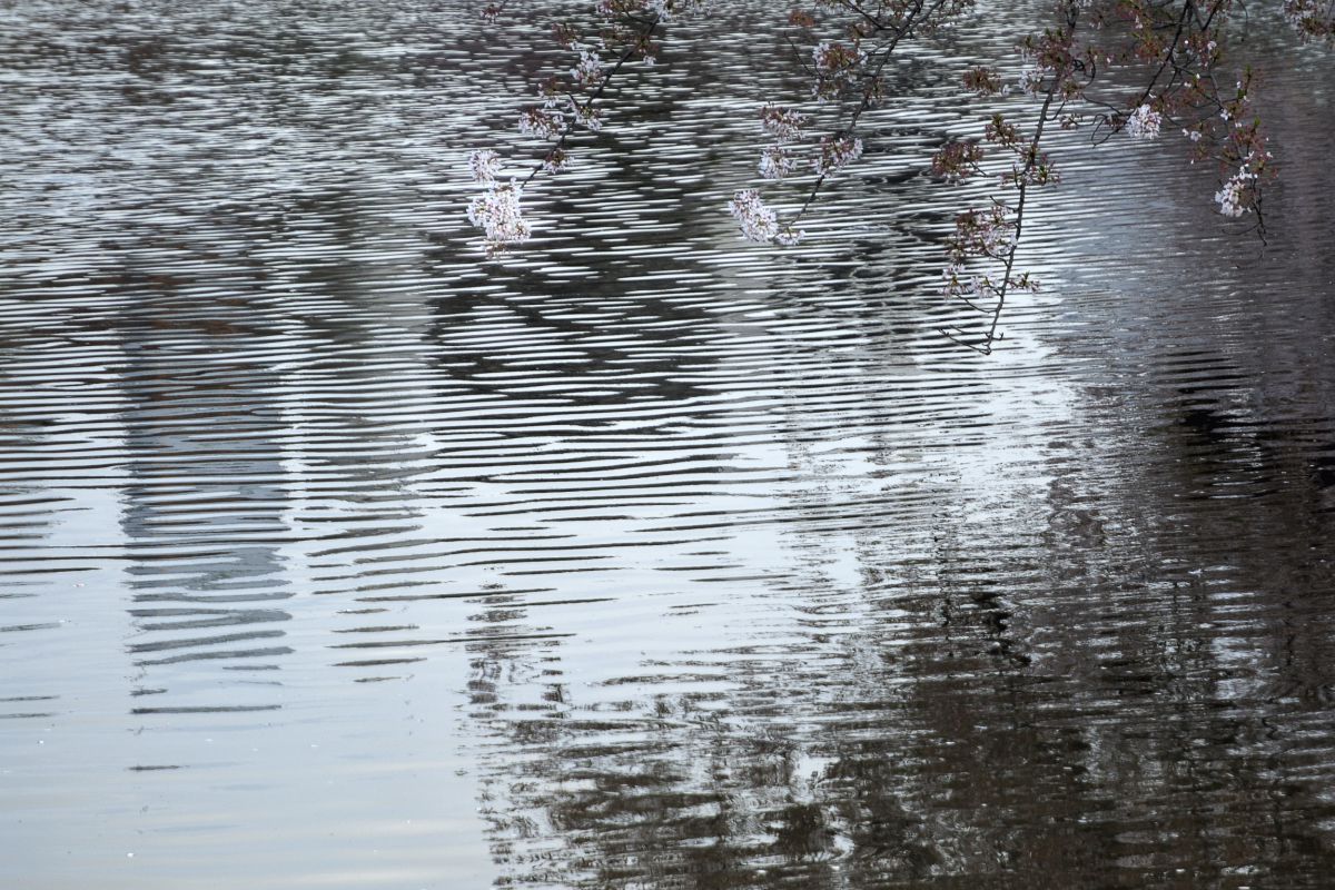 水面の模様 自然 風景 水辺 Ganref