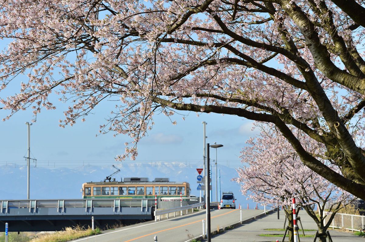 或る春のはじまり GANREF