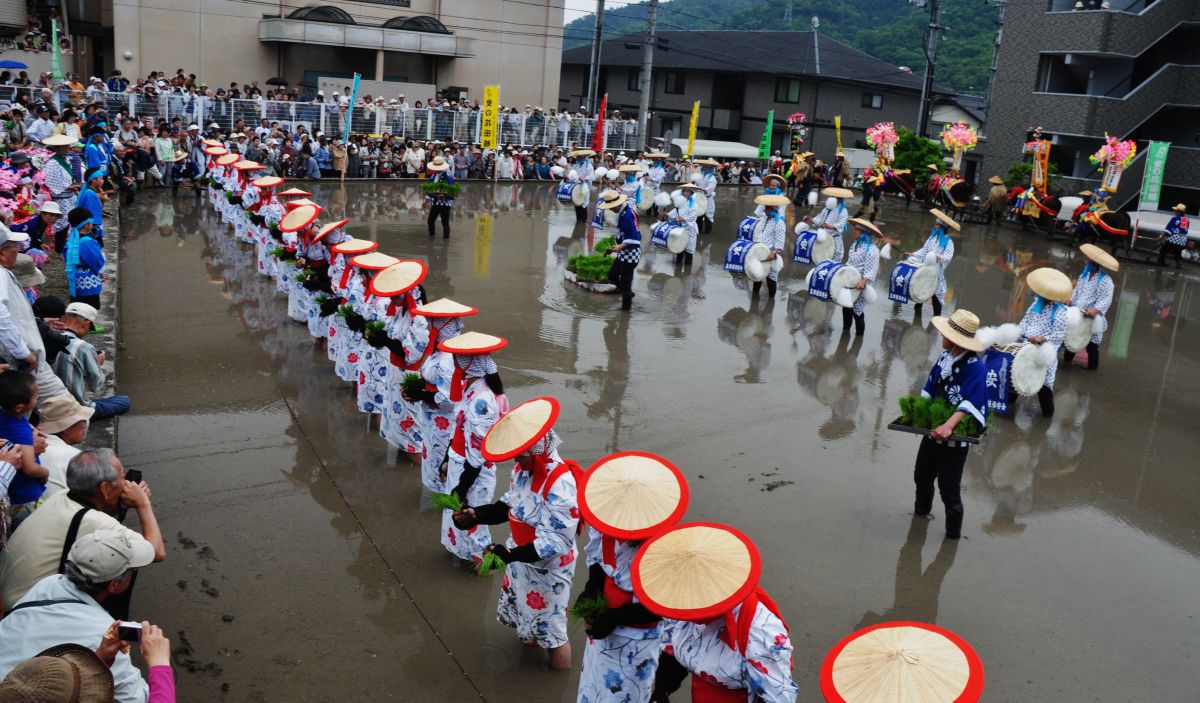 写真検索結果 | 写真検索 | GANREF