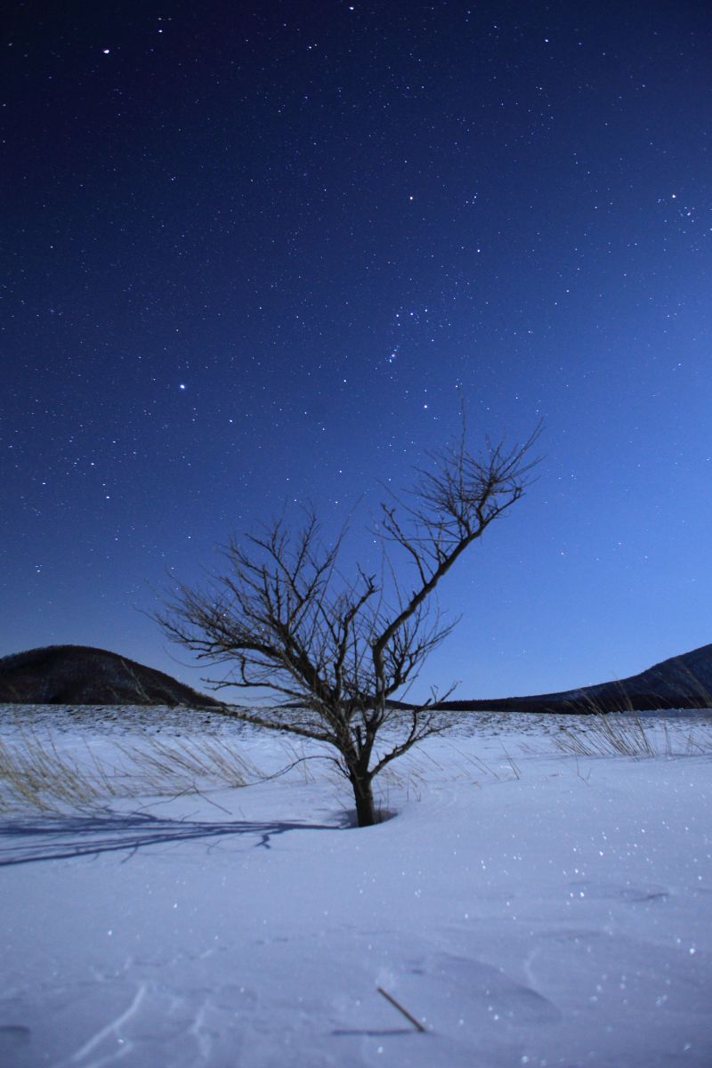 EF17-35mm F2.8L USMで撮影された写真 | 写真検索 | GANREF