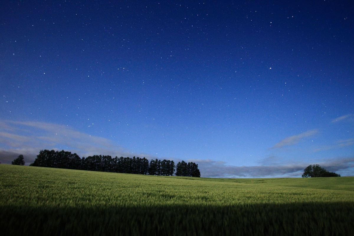 EF17-35mm F2.8L USMで撮影された写真 | 写真検索 | GANREF