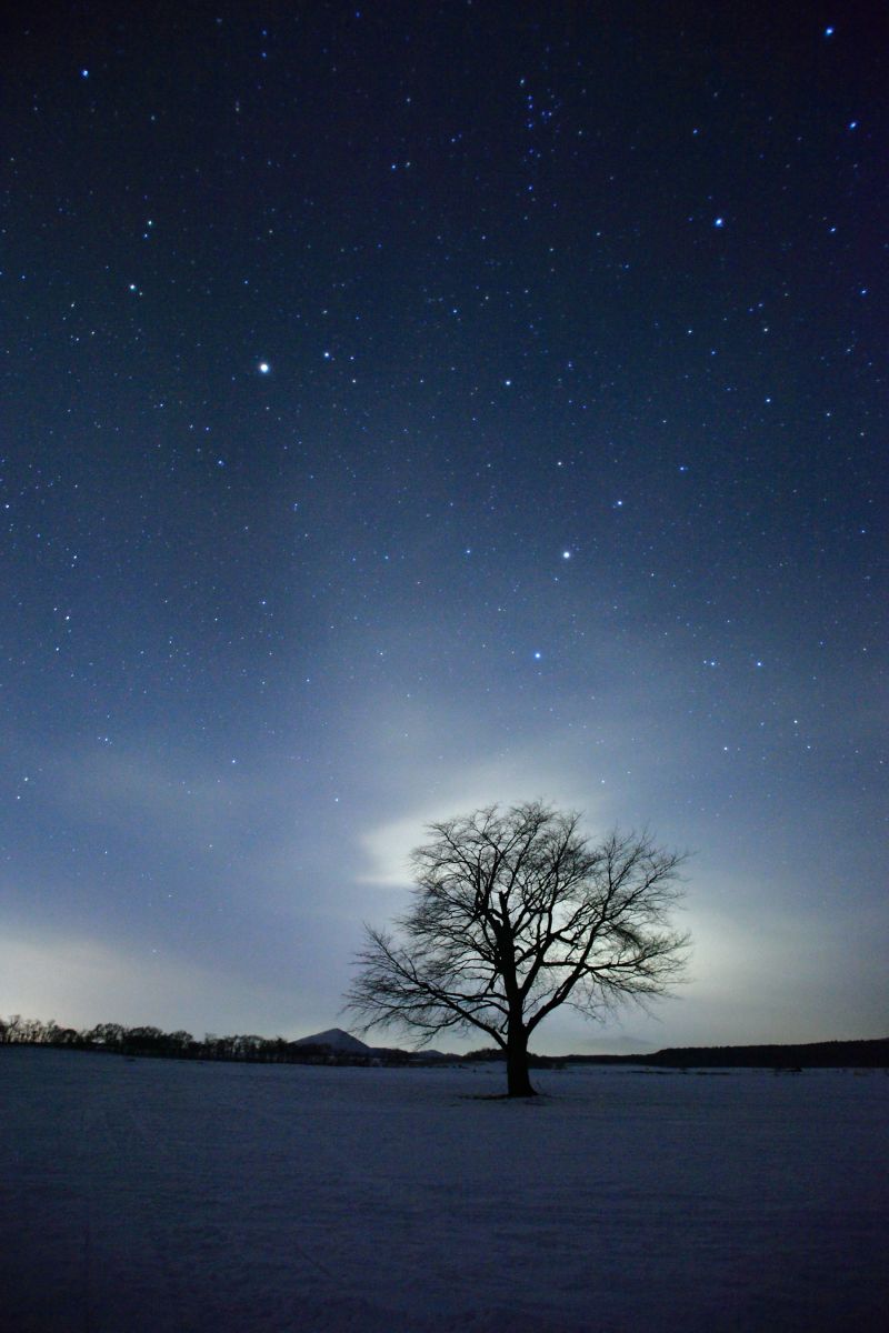 ✨極美品✨キャノン EF 17-35mm F2.8L USM❤️風景撮影の相棒！ EF17-35mm F2.8L USMで撮影された写真 | 写真検索 | GANREF