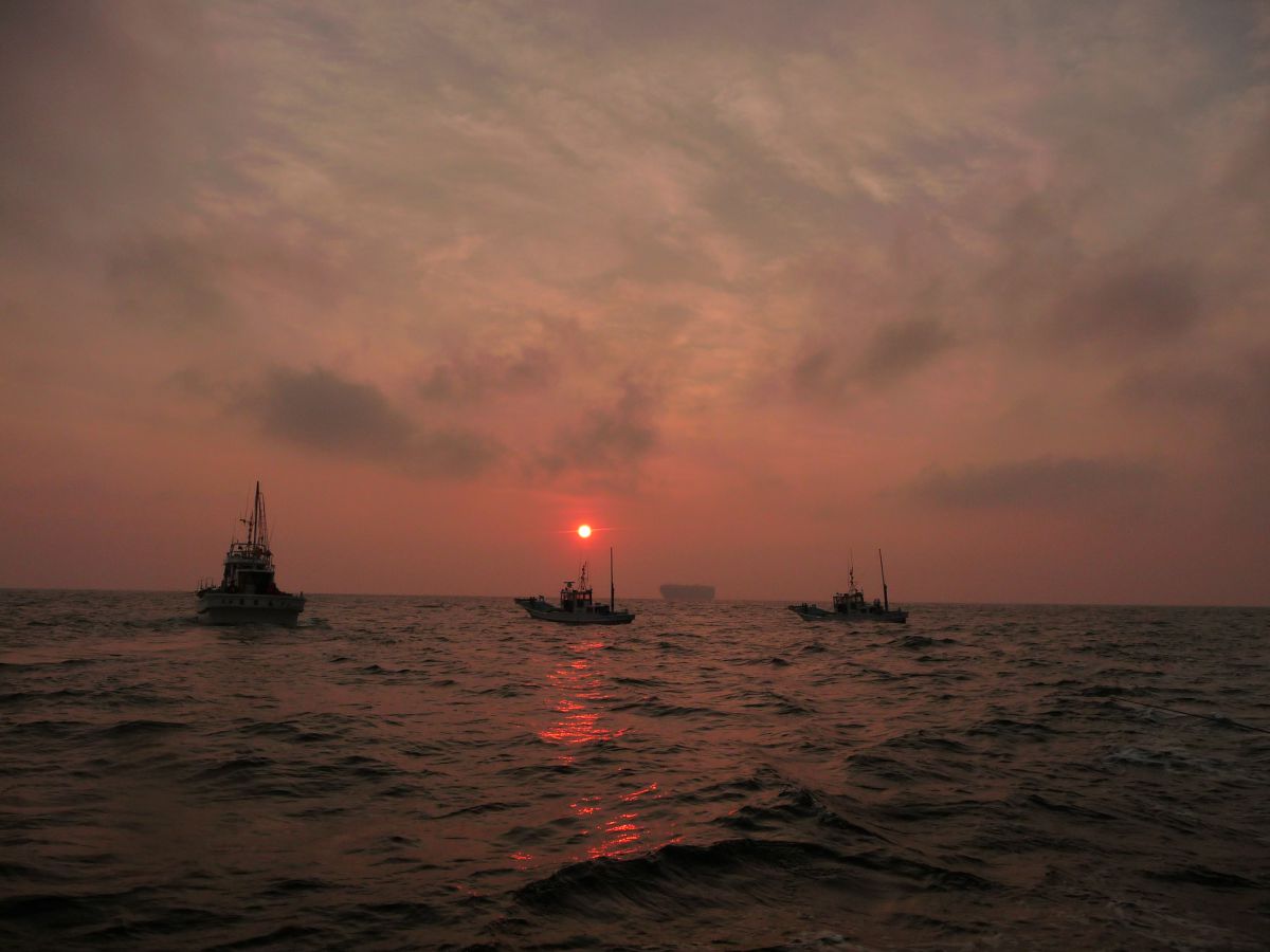 LUMIX DMC-TZ5で撮影された写真 | 写真検索 | GANREF