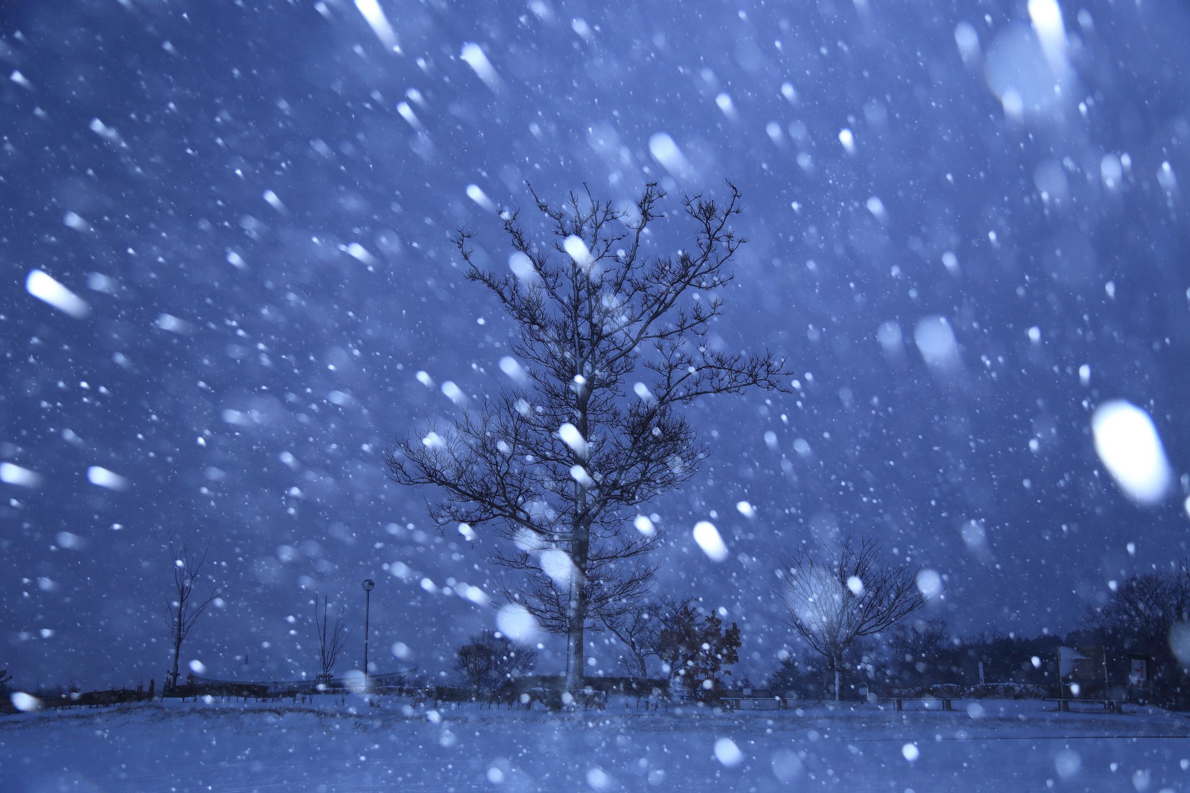 吹雪の中に | GANREF