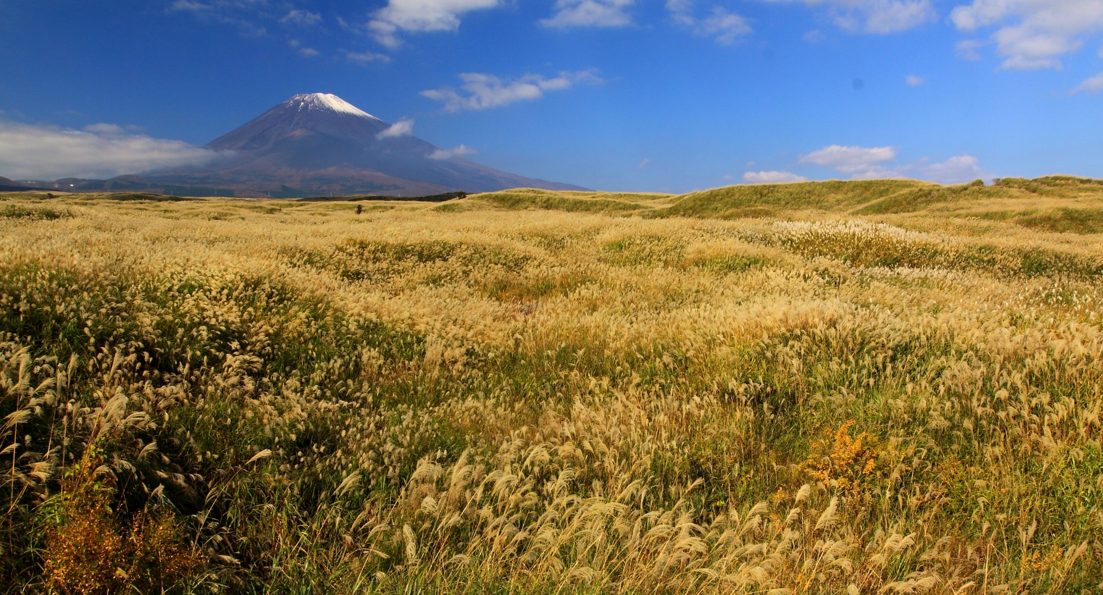 大海原富士 自然 風景 山 Ganref