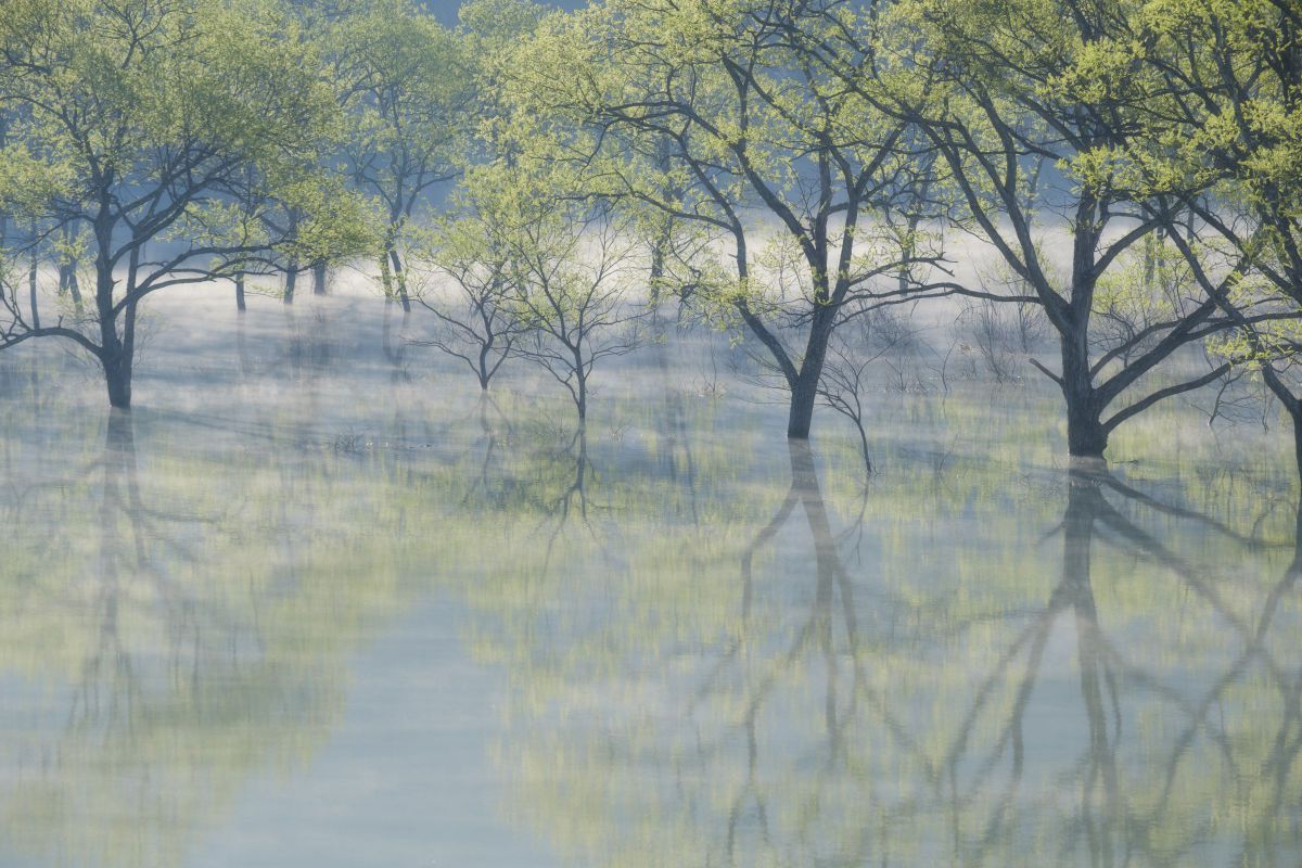 参考写真3 編集方針議論 - DCD 仮面ライダーバトル ガンバレジェンズ データ