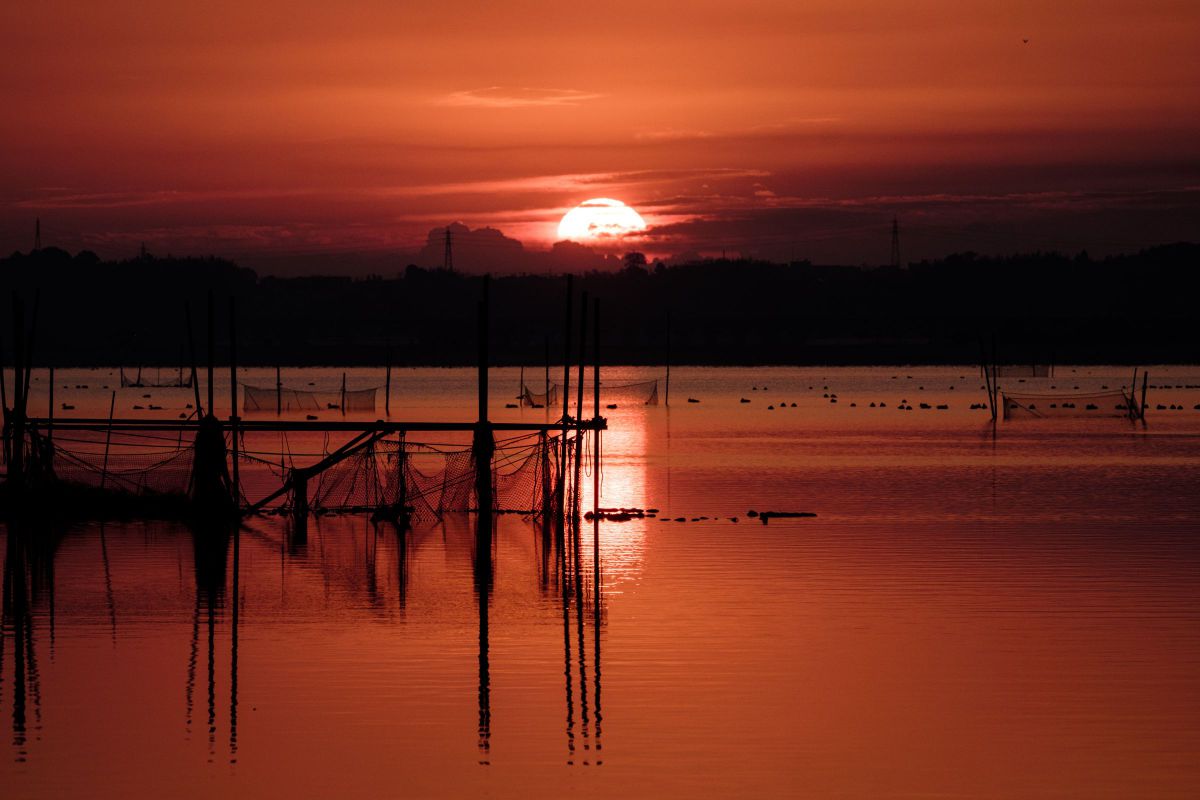 FUJIFILM X-T1で撮影された写真 | 写真検索 | GANREF