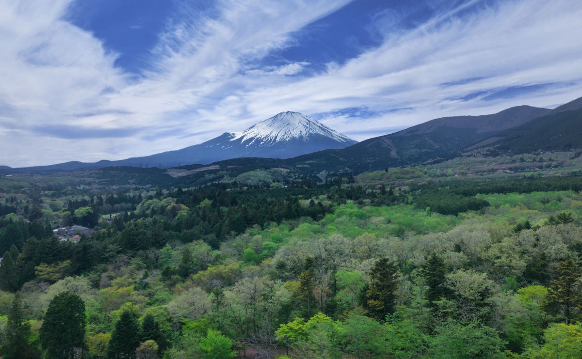 24mm F/2.8 Di III OSD M1:2（Model F051）で撮影された写真 | 写真