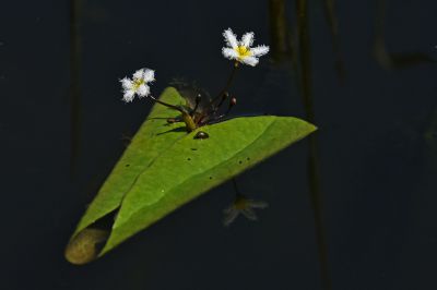 Af S Nikkor 300mm F 4e Pf Ed Vrで撮影された写真 写真 Ganref