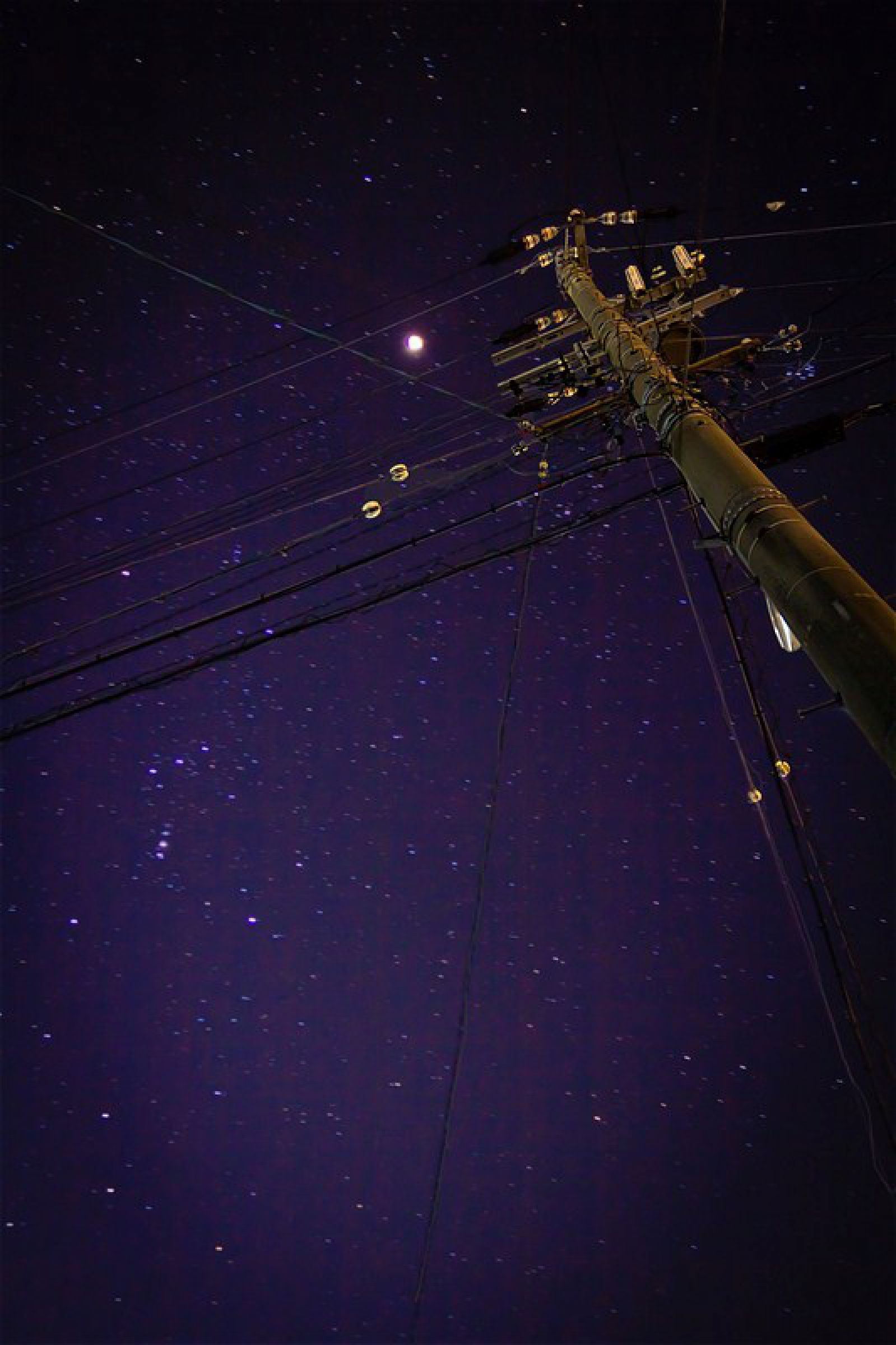 綺羅星夜 ページ 綺羅星紙 夜光（濃紺＋青虹箔） - Lagrange（ラグランジュ）