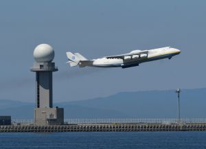 genさん専用 ／アントノフ ムリーヤ 42cm genさん専用 ／アントノフ ムリーヤ 42cm genさん専用