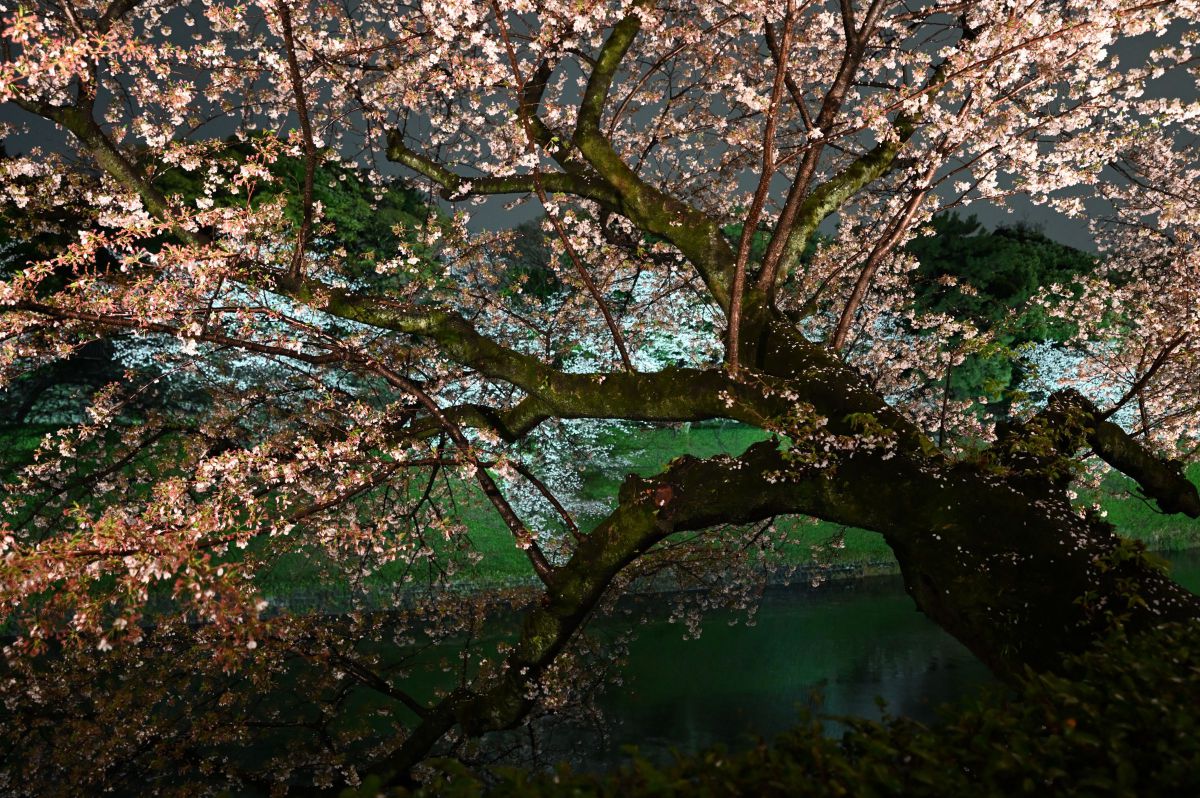 フォト 高橋 伸哉 Shinya Takahashi×NIKKOR Z 35mm f/1.2 S | NIKKOR Z