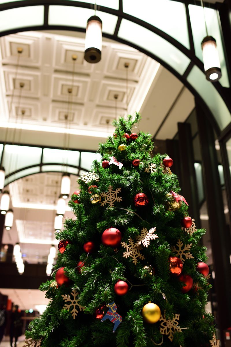 北欧からのクリスマスツリー 街並み 建物 ビル タワー Ganref