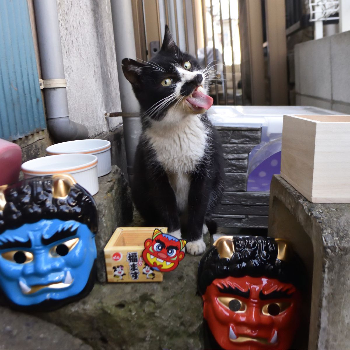 1 NIKKOR 10mm f/2.8で撮影された写真 | 写真検索 | GANREF